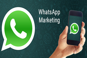 Whatsapp Marketing Solution